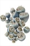 Blue Sea Spiky Cluster by Joy Trpkovic B.A., F.S.D-C, Installation