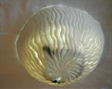 Carved Jellyfish bowl by Joy Trpkovic B.A. MSD-C, Ceramics, Porcelain