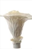 Trumpet pinch pot by Joy Trpkovic B.A. MSD-C, Ceramics, Porcelain